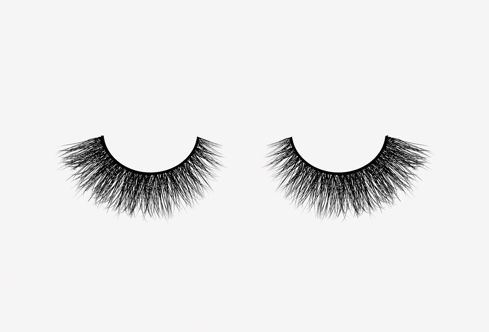 Lash in the City