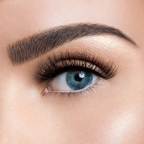 Lash in the City